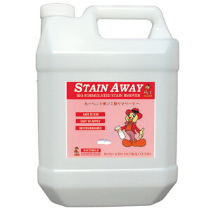 GACI[Wp V~܁@XeCAEFCi4Lj R[q[ t ^j V~g