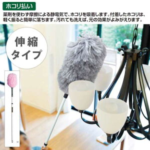 ͂ ق蕥 |p MMt[N[Lk M eg CL-896-220 | |pi 