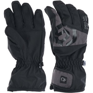 XZ[mIocean pacific LbY WjA qp h Xm[O[u XL[O[u 5{w ʊw I[VpVtBbN