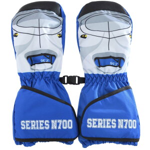 XZ[mIV LbY qp h Xm[O[u XL[O[u ~g ʉ JRF Ki