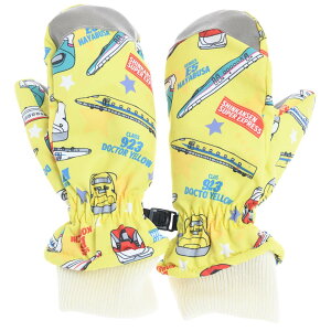 XZ[mIV LbY qp h Xm[O[u XL[O[u ~g ʉ JRF Ki