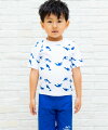 Sandiaサンディア子供水着ラッシュガードセット男の子シャチ無地キャップ付き【ベビー水着キッズ水着水着UVカット】【メール便送料無料】