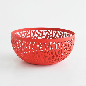 ypՕiE󏭁z AbVB oXPbg JN^X 21cm bh ALESSI CACTUS! t[cz_[ MSA04/21 R 