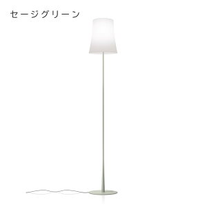 tHXJ[j tAv o[fB C[W[ FOSCARINI BIRDIE EASY Floor o[fB[  