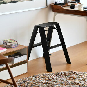 JH J[m 2Xebv hasegawa lucano 2-step METAPHYS r 2i ܂肽 ML2.0-2 