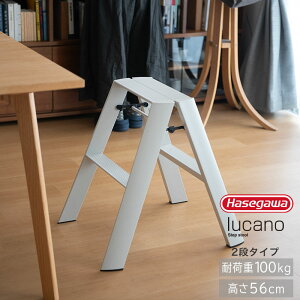 JH J[m 2Xebv hasegawa lucano 2-step METAPHYS r 2i ܂肽 ML2.0-2 