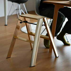 JH J[m 2Xebv S[h Vo[ uY hasegawa lucano 2-step METAPHYS r 2i ܂肽 ML2.0-2J 