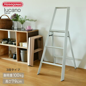 JH J[m 3Xebv hasegawa lucano 3-step METAPHYS r 3i ܂肽 ML2.0-3 