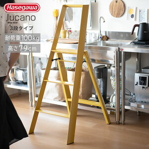 JH J[m 3Xebv hasegawa lucano 3-step METAPHYS r 3i ܂肽 ML2.0-3 