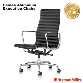 【レビュープレゼント】 ハーマンミラー イームズアルミナムグループ エグゼクティブチェア 本革 アルミバフ Herman Miller Eames Aluminum Group Executive Chair ワークチェア 正規販売店