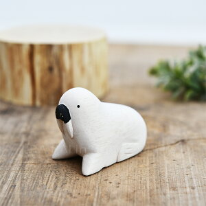 ۂۂꓮ Č ZCE` polepole ||