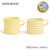 【紅茶セット付き】 ウェッジウッド JW アンダーソン マグペア カナリー＆ミモザ 250ml 280ml WEDGWOOD J…