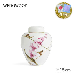 �y�g���Z�b�g�t���z �E�F�b�W�E�b�h �n�~���O�o�[�h �W�� �x�[�X 15cm WEDGWOOD Hummingbird ��������