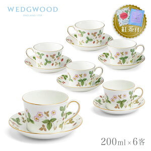 ygZbgtz EFbWEbh eB[Jbv\[T[ ftB yA 200ml 6q Ch Xgx[ WEDGWOOD Wild Strawberry C`S   