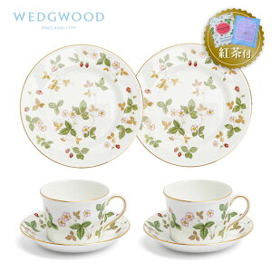 ygZbgtz EFbWEbh nj[Zbg ftB v[g 18cm eB[Jbv\[T[ Ch Xgx[ WEDGWOOD Wild Strawberry C`S   