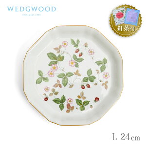 ygZbgtz EFbWEbh IN^Si fBbV L 24cm Ch Xgx[ WEDGWOOD Wild Strawberry p` v[g C`S   
