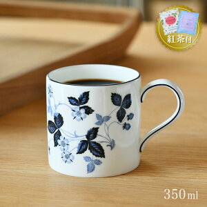 ygZbgtz EFbWEbh }O 350ml Xgx[CNu[ WEDGWOOD Wild Strawberry }OJbv C`S   lCr[ 