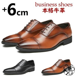 rWlXV[Y Y {v ㎿ 24.0cm~27.5cm ECO`bv tH[} JWA {v jamvC hX HXg[g`bv U[ C 傫TCY 킭 rWlX Ў 