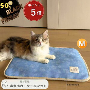 y Black Friday|Cg5{E50OFFN[| zo[Vu RtH[ĝNbV  J[gNbV p ybg J[g NbV ӂӂ ̌^ o| A L