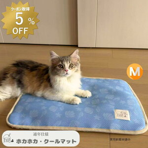 y 5OFFN[| zo[Vu RtH[ĝNbV  J[gNbV p ybg J[g NbV ӂӂ ̌^ o| A Lv AEghA