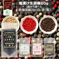 塩漬け生胡椒 黒胡椒 60g 乾燥胡椒 20g の選べる2点セット カンポットペッパー ブラックペッパー 生コシ…