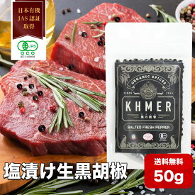 【エントリーで8月はずっとポイント10倍】こしょう 胡椒 ブラックペッパー 塩漬け生胡椒 黒の衝撃 生コショウ 生胡椒の塩漬け 調味料 カンポットペッパー フレッシュ 粒コショウ ホール 黒コショウ 黒こしょう 黒胡椒 業務用 カンボジア BBQ 高級 100g 50g 400g 1000g