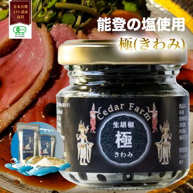 【14~16日ポイント10倍】塩漬け生胡椒 黒コショウ ブラックペッパー 黒こしょう 能登の塩 黒胡椒 黒の衝撃 生コショウ カンポットペッパー 胡椒塩漬け 有機JAS認証 粒コショウ 粒胡椒 有機 高級調味料 万能調味料 カンボジア 生胡椒の塩漬け スパイス