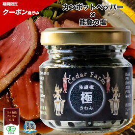 【エントリーで8月はずっとポイント10倍】塩漬け生胡椒 黒コショウ ブラックペッパー 黒こしょう 能登の塩 黒胡椒 黒の衝撃 生コショウ カンポットペッパー 胡椒塩漬け 有機JAS認証 粒コショウ 粒胡椒 有機 高級調味料 万能調味料 カンボジア 生胡椒の塩漬け スパイス