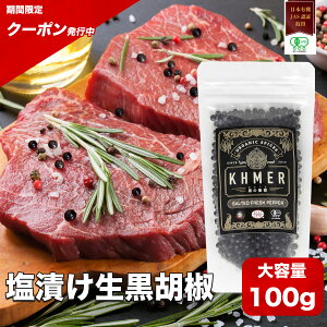 y30~12/1|Cg10{zЂӞ 100g ̏Ռ Ӟ RVE Ӟ̉Ђ J|bgybp[ Ɩp L@JASF L@͔|   ubNybp[ 傤 Ӟ Xp