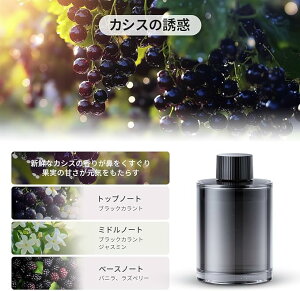 Ceeniu  L F CF3ptOXtB 135mle 6 |(Bamboo Forest) tXYVR tΑfz J[tOX Perfume Refill