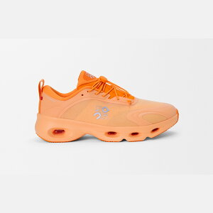 Gx LOEWE 2025H~Y NEh\ Xj[J[yIW zyzyKiz