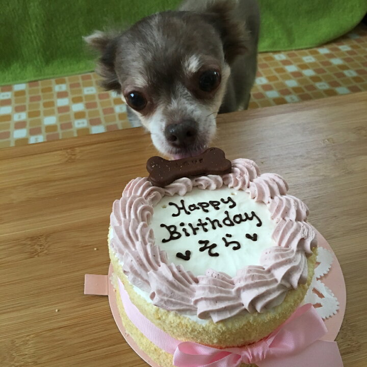 楽天市場】SimpleBoneDeco ピンク 犬用ケーキ 犬用お誕生日ケーキ ドッグケーキ わんこケーキ : 犬用ケーキ ＣｅｌｅｂＷａｎｋｏ