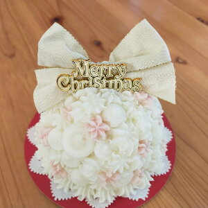 NX}XSnowDome@@̃P[L@pP[L@pNX}XP[L