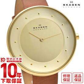 SKAGEN スカーゲン レディース 腕時計 クラシック SKW2138 腕時計 時計