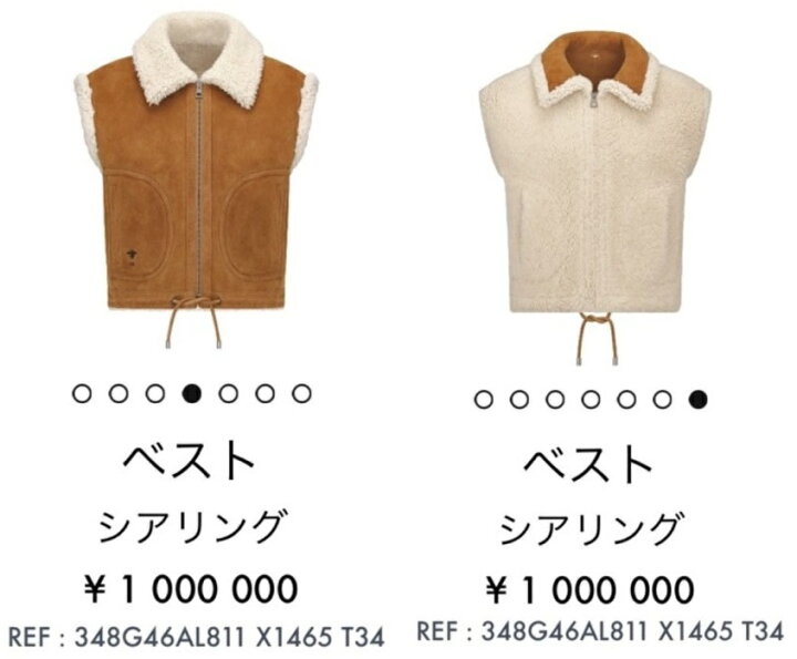 楽天市場】Christian Dior リバーシブルベスト 