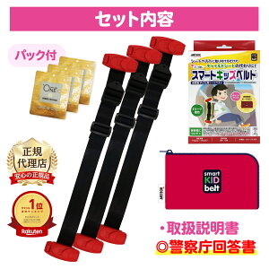 Ki v[gt NbvO X}[gLbYxg B1092b񓚏t 2 3 eIAPAC `ChV[g qǂp V[gxg qp cp ⏕ 3΂12 gь^ WjAV[