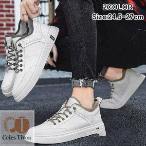 ~V Y JWAV[Y Xj[J[ ^C C y S2F  t  H ~ V