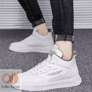 Xm[u[c Y h hC Nт h AEghAV[Y EB^[u[c ȐC ~ [XAbv V[gu[c oCN C ZC