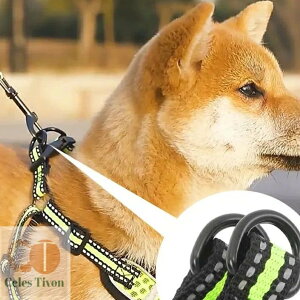 n[lX [h    EȂ ȒP ^ ^ ^ U ybg