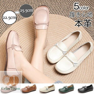 V [t@[ fB[X {v C ؂ g q[ Vv ~ ɂȂ ₷ RtH[g  h i ̓