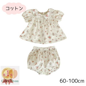 xr[ ̎q  t t  ZbgAbv 킢 ݕt t[ ԕ Zp[g ㉺Zbg gbvX pcZbg u} pc ނJo[ Ԃ Ԃ xr