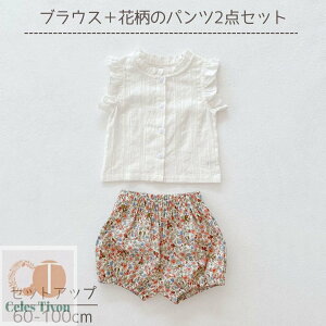  gbvX Zp xr[ Ԃ ㉺Zbg ZbgAbv ̎q pc Zp[g Vc  킢  LbY qǂ q q LbY  ۈ牀 ct ʊw ʉ  