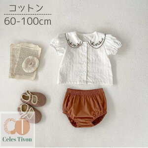 xr[ xr[   ㉺Zbg ZbgAbv uEX gbvX Ԃ Ԃ V  ̎q u} pc Rbg  킢  oYj Mtg bsO  