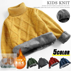 q Z[^[ ^[glbN LbY jbg Z[^[ N g  nClbN j̎q ۉ P[u҂  [EFA  ~ ʊw JWA qǂ Wj