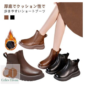 yzV[gu[c O  fB[X _炩 TChWbv V[g 5cmq[ ₷ ₷ vC RtH[g V[Y h y^R s t H ~ 