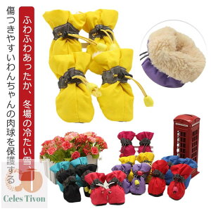 yz C u[c ₷ Eɂ 4  C ₷ ybgp u[c hbO Xm[u[c pi N  hbOV[Y Ȃ 4Zbg h