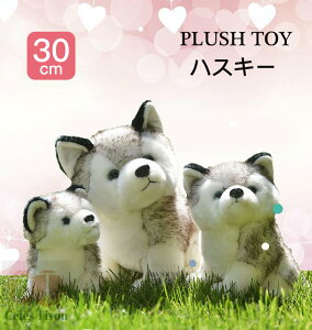 xr[ ʂ    Ck nXL[ ӂӂ   Ԃ q ʂ