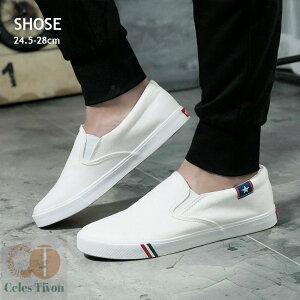 YXj[J[ JWAXj[J[ EH[LOV[Y C CЂ Ȃ  y Snǂ ₷ [JbgXj[J[ Xj[J[ Y EH[LO g