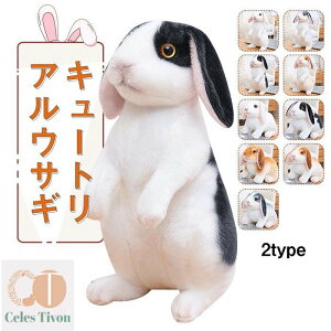 ʂ e ETM A CeA 킢 z[hbv  NX}X VNj aMtg