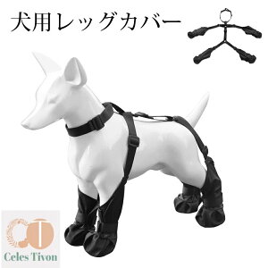 pbOJo[ pu[c TXy_[ TXy_[t pu[cTXy_[t pu[cMX ߉\Ȋ~ߌpTXy_[u[c rߖh~ ybgp \bNX 